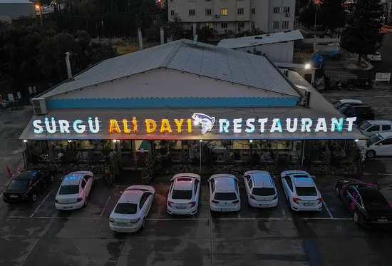 S&uuml;rg&uuml; Ali Dayı Adıyaman - Sincik Adıyaman