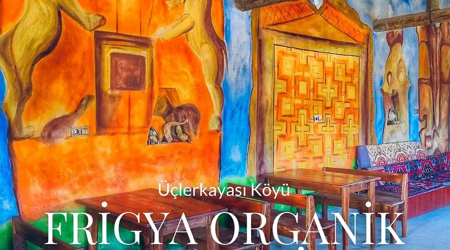 Frigya Organik Köy Evi - Afyonkarahi̇sar