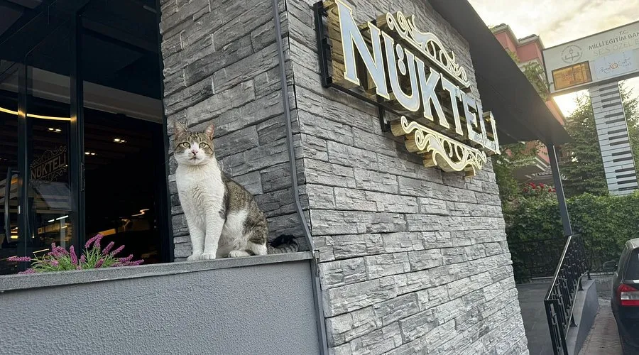 N&uuml;kteli - &Ccedil;ankaya Ankara