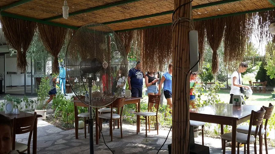 K&ouml;fteci Baba &Ccedil;ineli - &Ccedil;ine Aydın