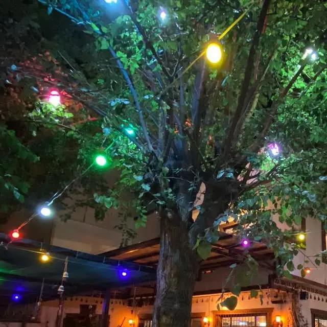 AHMET PAŞA KONAĞI - Batman Merkez Batman