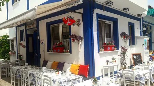 Nevreste Bozcaada - Bozcaada &Ccedil;anakkale