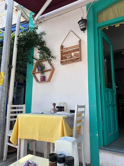 D&ouml;rt hanımeli - Bozcaada &Ccedil;anakkale