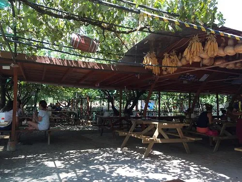 Doyuranlar G&ouml;zleme Ayran &Ccedil;ay - Eceabat &Ccedil;anakkale