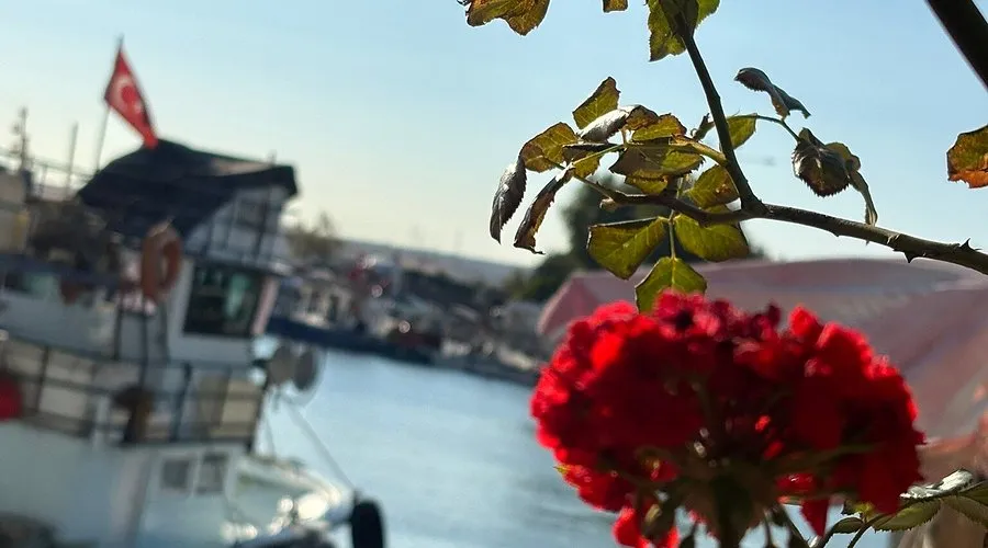 Alito Restaurant Gelibolu - Gelibolu &Ccedil;anakkale