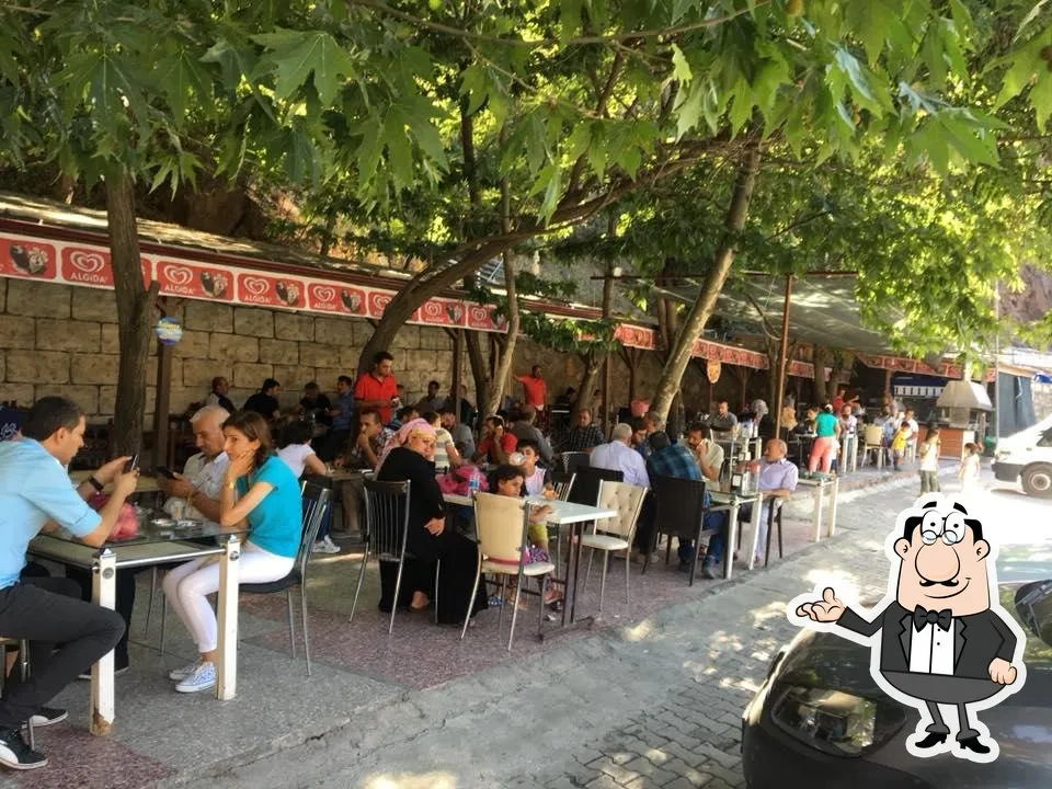 SOĞUK SU Ş&Ouml;LEN DİNLENME TESİSLERİ - Maden Elaziğ