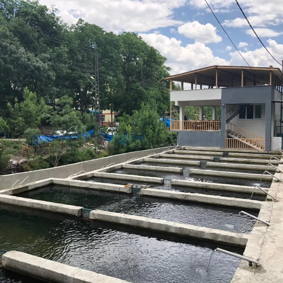 BAĞBAŞI ALABALIK TESİSİ VE RESTORANT - Tortum Erzurum