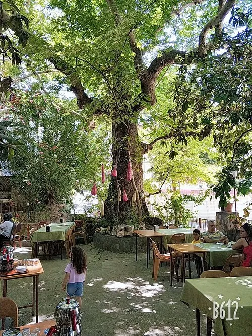 HAMMUŞUN YERİ YAĞMUR KAHVALTI SALONU - Defne Hatay