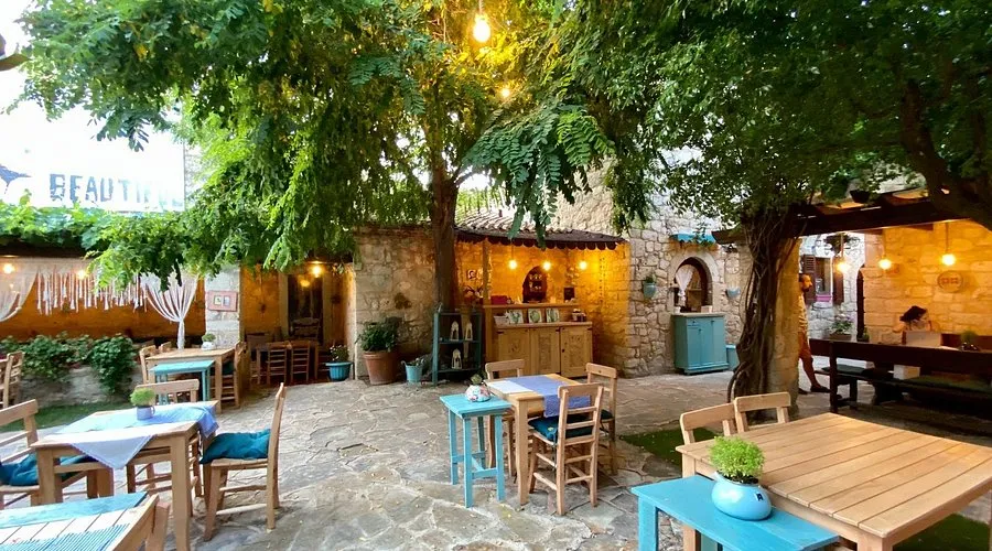 Salkım S&ouml;ğ&uuml;t Alacatı - &Ccedil;eşme İzmir