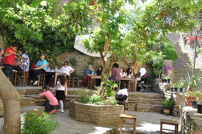 BİRGİ NARDANESİ - &Ouml;demiş İzmir