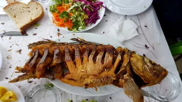 Tavuk Diyari Ilhan Ustanin Yeri - G&ouml;lmarmara Manisa