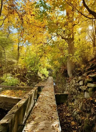 Perili Bah&ccedil;e - Uğur Alabalık Tesisi - Savur Mardi̇n