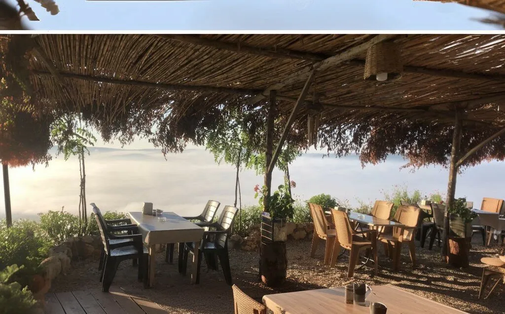 Sarıkavak Y&ouml;r&uuml;k Otağı Sıkma Ayran - &Ccedil;amlıyayla Mersin