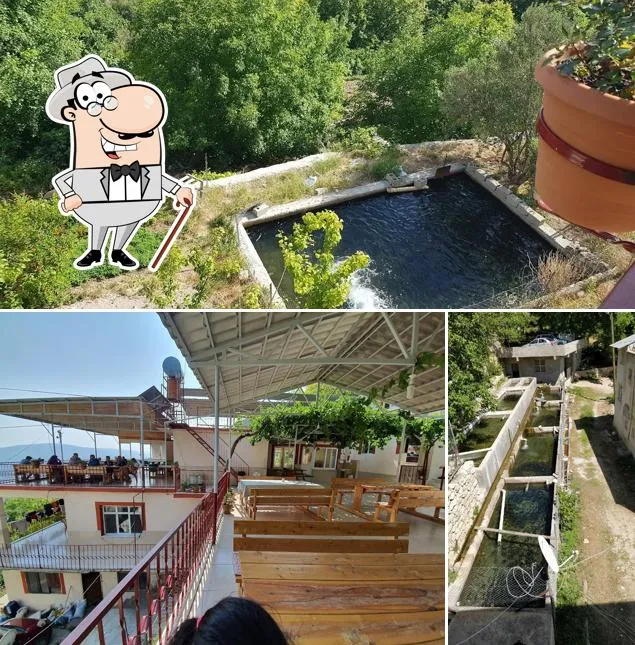 G&uuml;lnar &Ccedil;avuşlar İnhisar Alabalık tesisleri - G&uuml;lnar Mersi̇n