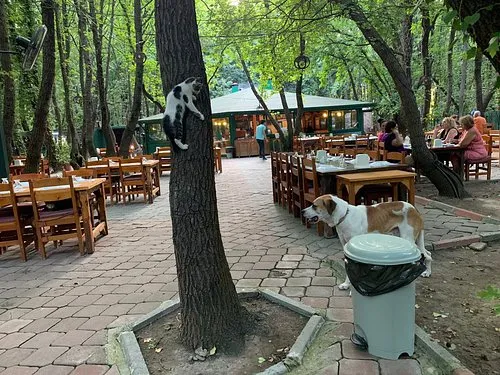 Ortaca Belediyesi G&uuml;nl&uuml;kl&uuml; Restaurant - Ortaca Muğla