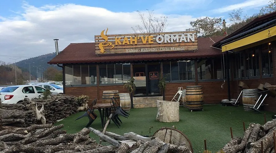 Kahve orman - Pancarlık &Ccedil;orum Merkez