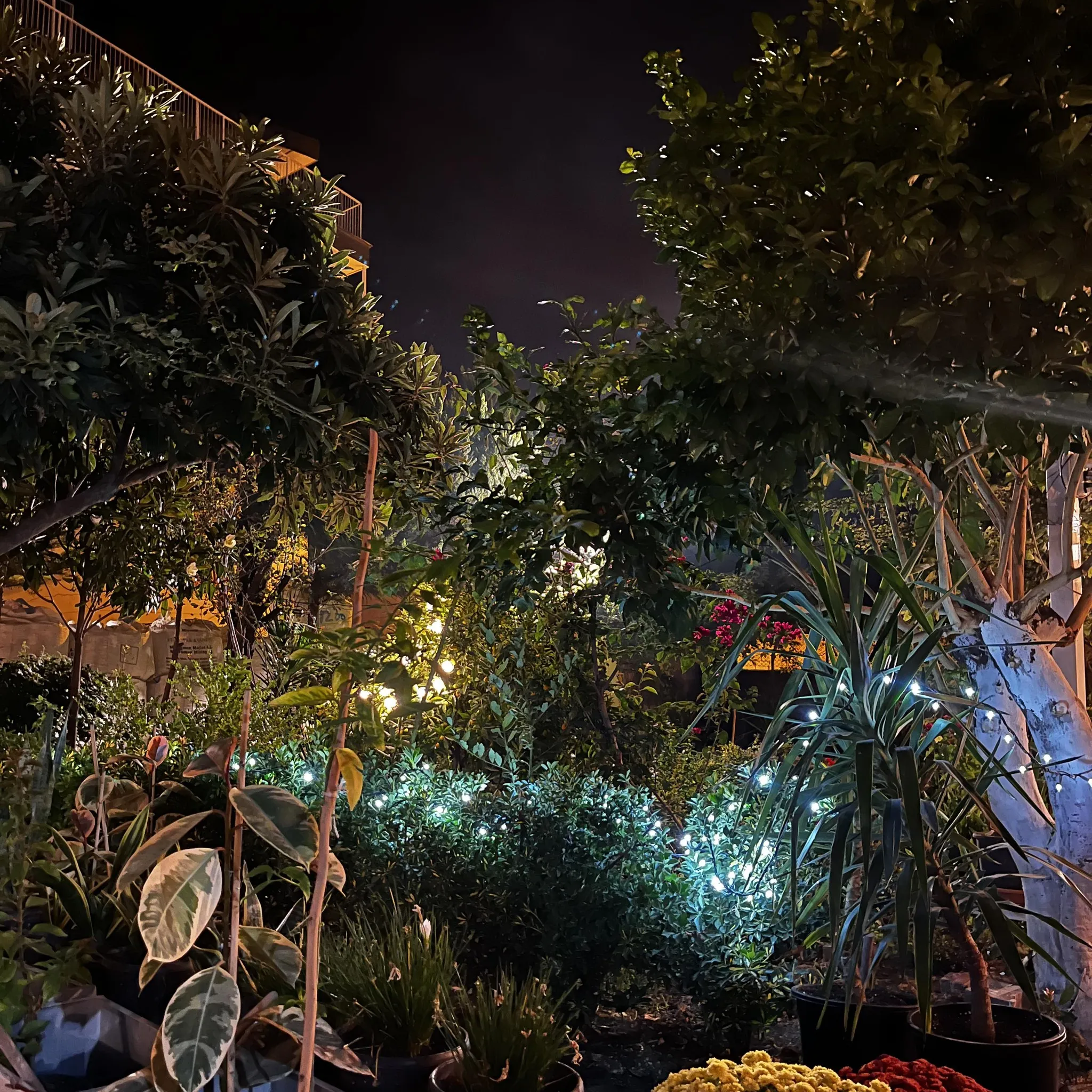 Yıldız'ın Bah&ccedil;esi Restoran - Kadirli Osmaniye