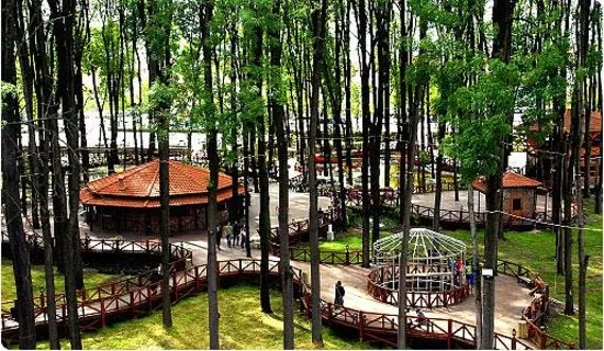Sakarya Ormanpark - Adapazarı Sakarya