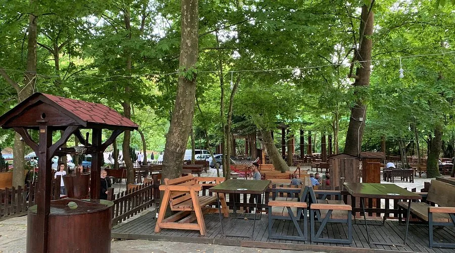 Dereağzı Alabalık Tesisleri - Akyazı Sakarya