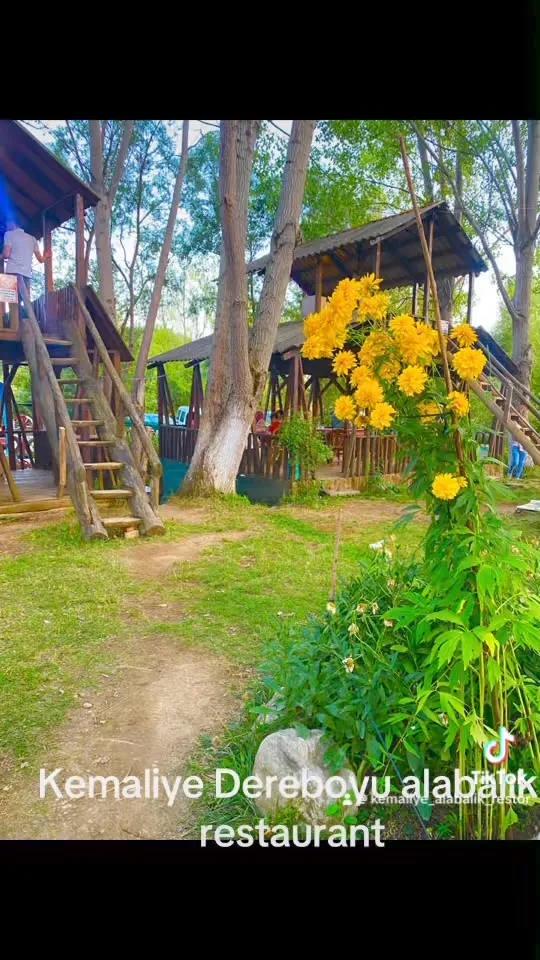 Kemaliye Dereboyu Alabalık Restoran - Pamukova Sakarya