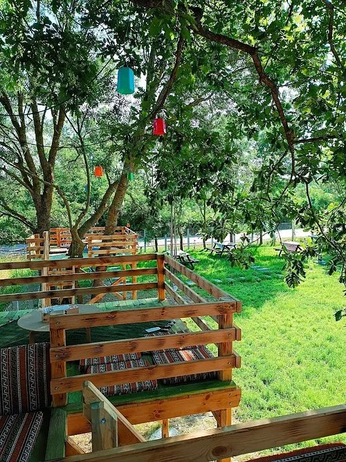 &Ccedil;ınarlı Bah&ccedil;e Sinop Kahvaltı Restoranı - Sinop Merkez Sinop