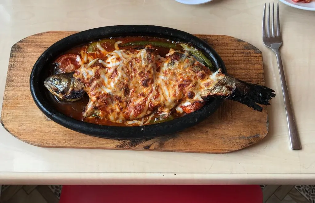 Dogansar alabalık - Doğanşar Si̇vas