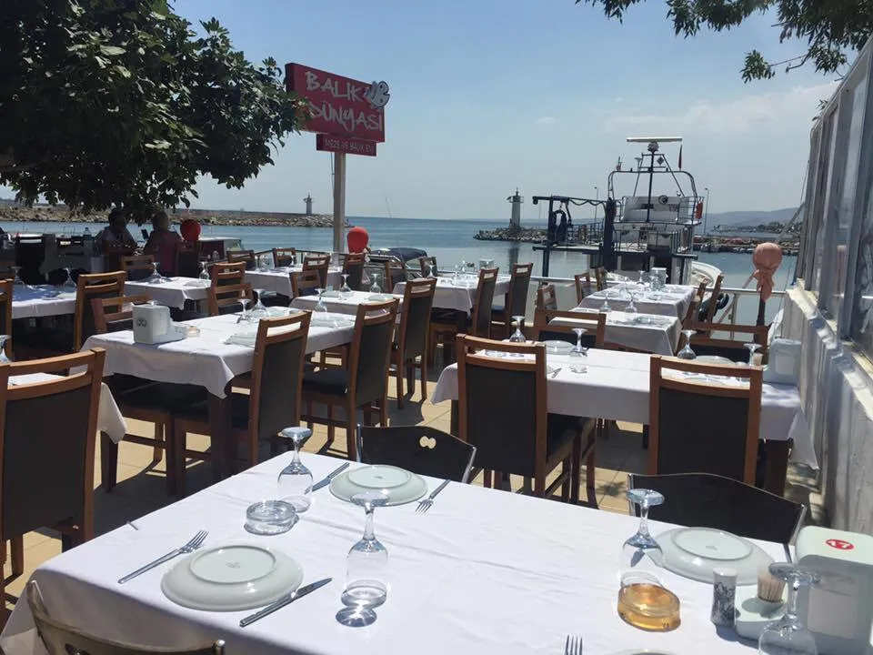 Şark&ouml;y Balık D&uuml;nyası - Şark&ouml;y Teki̇rdağ