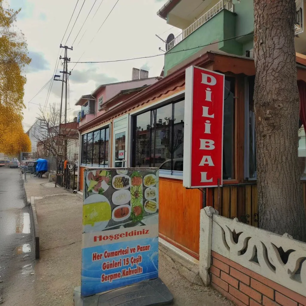 Dilibal Pide Sarayı - Niksar Tokat