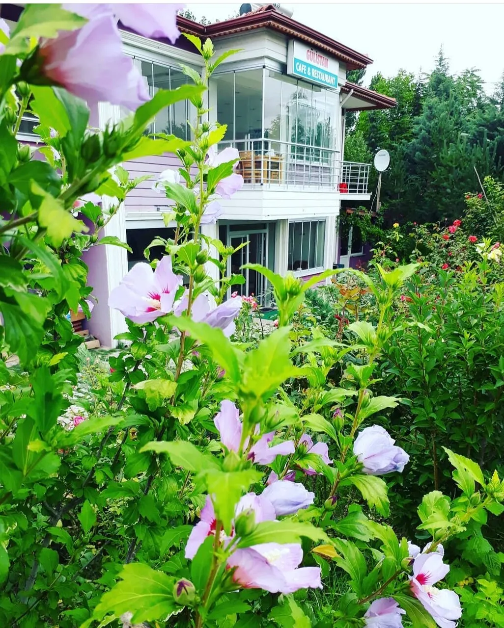 G&uuml;listan Restaurant - Merkez Tokat