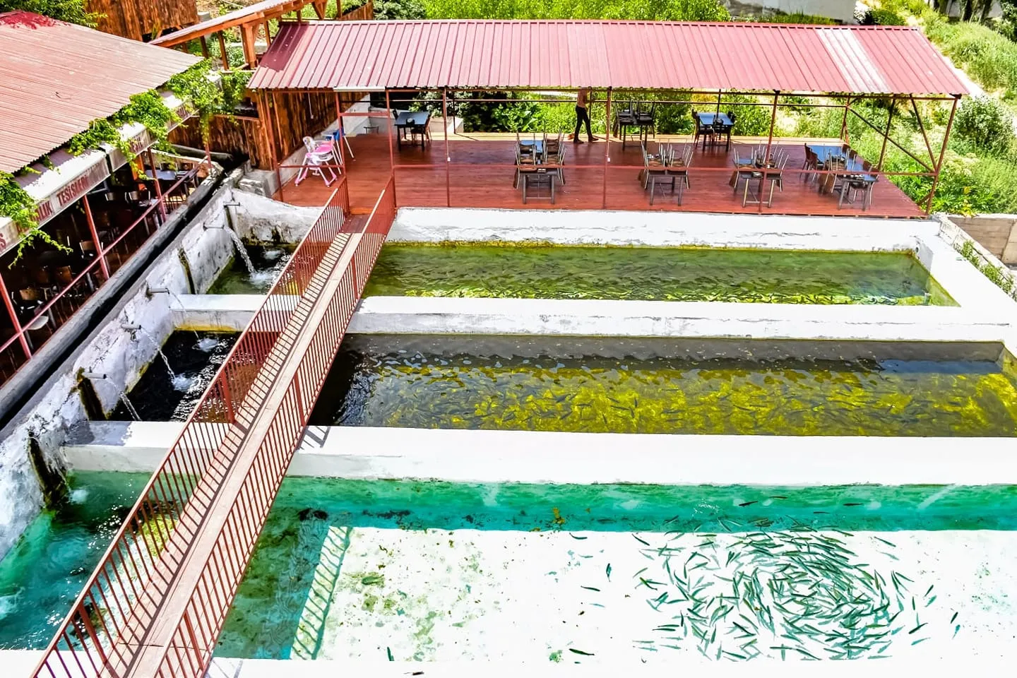 Yeşil Erciş Balık Restoranı - Erciş Van