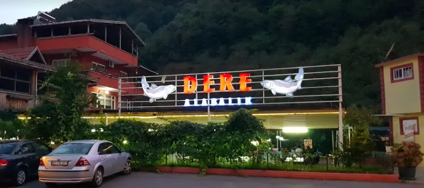 Dere Restoran Alabalık - Alaplı Zonguldak