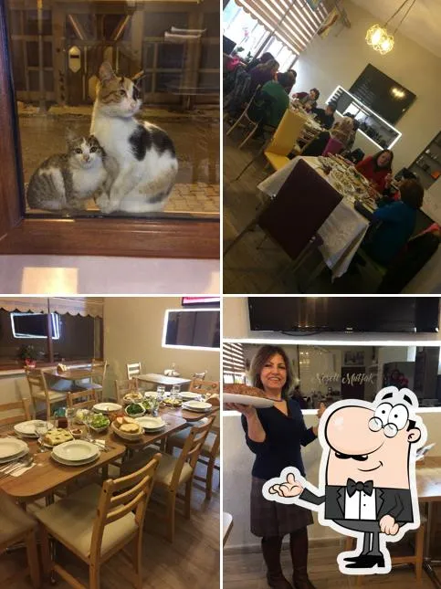 Neseli Mutfak - G&ouml;k&ccedil;ebey Zonguldak